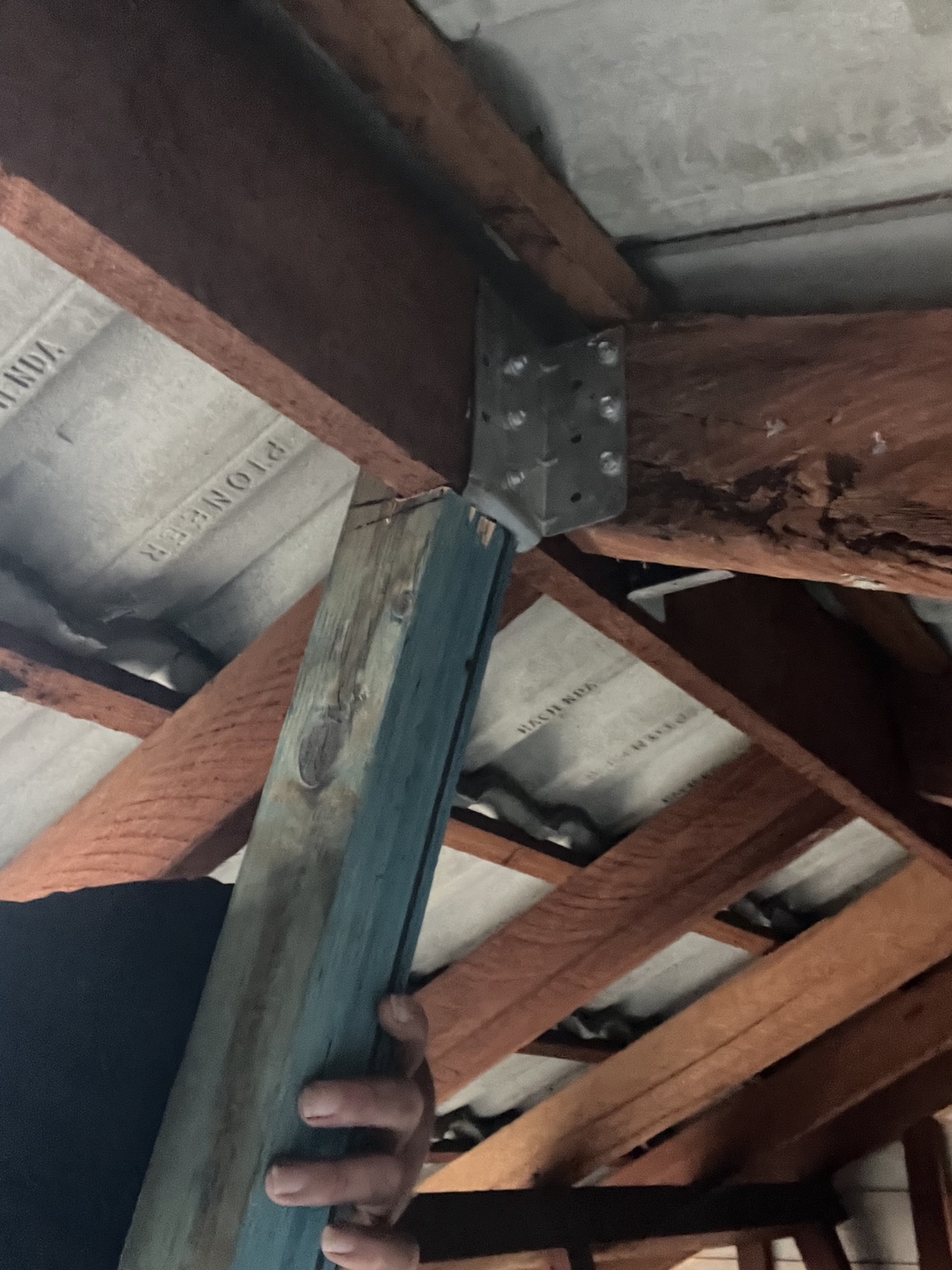 Existing roof timber repairs in progress